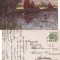 Ilustrata animale - rate salbatice