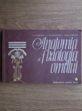 Radu N. Carmaciu - Anatomia si fiziologia omului. Indrumator pentru elevi