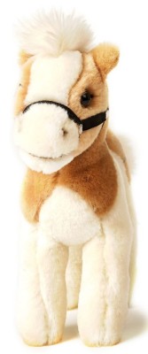 Cal de plus 23 cm nat geo foto