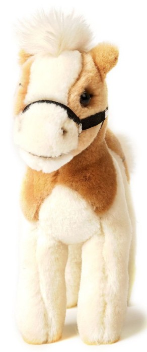 Cal de plus 23 cm nat geo