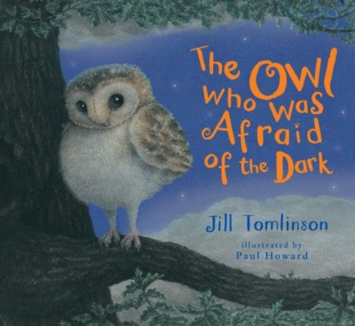 The Owl Who Was Afraid of the Dark foto