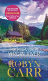 Noi &icirc;nceputuri &icirc;n Virgin River (Vol. 1) - Paperback brosat - Robyn Carr - Litera