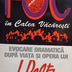 Foc in Calea Vacaresti