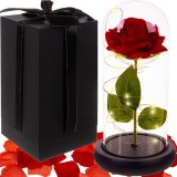 Trandafir &icirc;n Glob de Sticlă cu Iluminare LED, Alimentare pe Baterii, 22x11.5cm, Cutie de Cadou Inclusă
