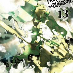 Is It Wrong to Try to Pick Up Girls in a Dungeon?, Vol. 13 (Light Novel)