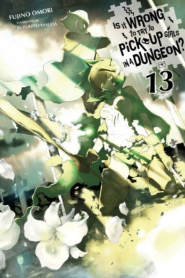 Is It Wrong to Try to Pick Up Girls in a Dungeon?, Vol. 13 (Light Novel) foto