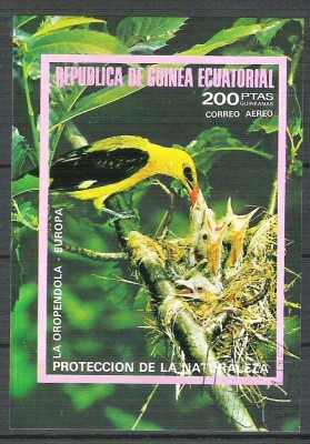 Eq. Guinea 1976 Birds in Europe, imperf. sheet, used M.003 foto