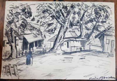 Radu Boureanu (1906-1997) - La tara foto