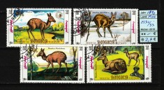 Timbre Mongolia, 1990 | Caprioara siberiana - Animale | Serie completa | aph foto