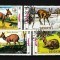 Timbre Mongolia, 1990 | Caprioara siberiana - Animale | Serie completa | aph