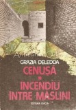 Cenusa. Incendiu Intre Maslini - Grazia Deledda, Dacia 1987, Roman, Beletristica, 319 Pagini