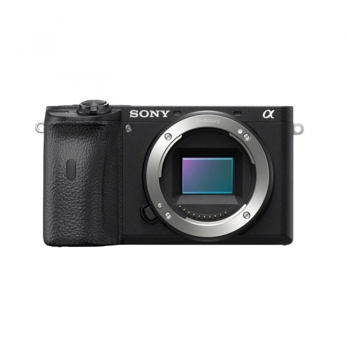 Body Aparat foto SONY Alpha A6600 Mirrorless, 24.2 MP, ISO