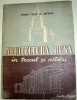 ARHITECTURA RUSA IN TRECUT SI ASTAZI-D. ARKIN EDITIA A 2-A