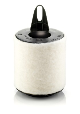 MANN-FILTER C 1361 Filtru aer foto