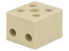 Regletă Conexiuni Terminale cu Șurub 4mm2 450V 2 Piste