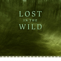 Lost in the Wild: Danger and Survival in the North Woods