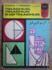 Florica T. C&acirc;mpan - Triunghiuri, triunghiuri și iar triunghiuri, Rao