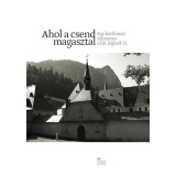 Ahol a csend magasztal - Egy karthauzi szerzetes a hit &uacute;tj&aacute;r&oacute;l II.