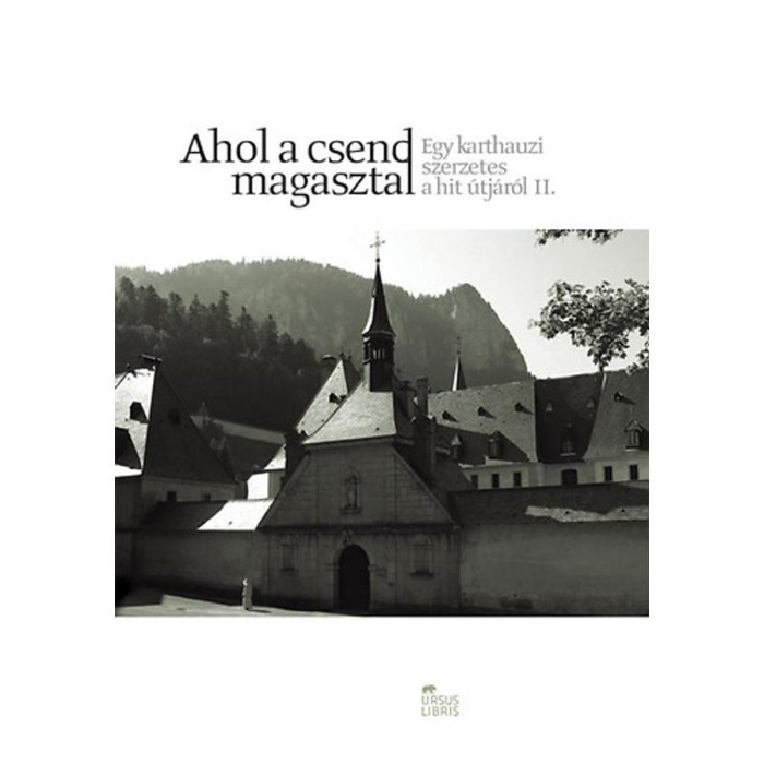 Ahol a csend magasztal - Egy karthauzi szerzetes a hit &uacute;tj&aacute;r&oacute;l II.