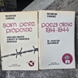 Soim peste prapastie. Poezii alese 1914-1944 - Nichifor Crainic