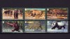 ✅(S17) Gibraltar 2011 ,&quot;Specii de animale I&quot;, serie ,nominal &pound; 2.52 ,MNH, Nestampilat
