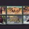 ✅(S17) Gibraltar 2011 ,&quot;Specii de animale I&quot;, serie ,nominal &pound; 2.52 ,MNH