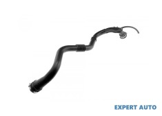 Racord / furtun aer / furtun intercooler / furtun admisie / furtun epurator gaze Renault Clio 2 (1998-&gt;)[BB_,CB_] #1
