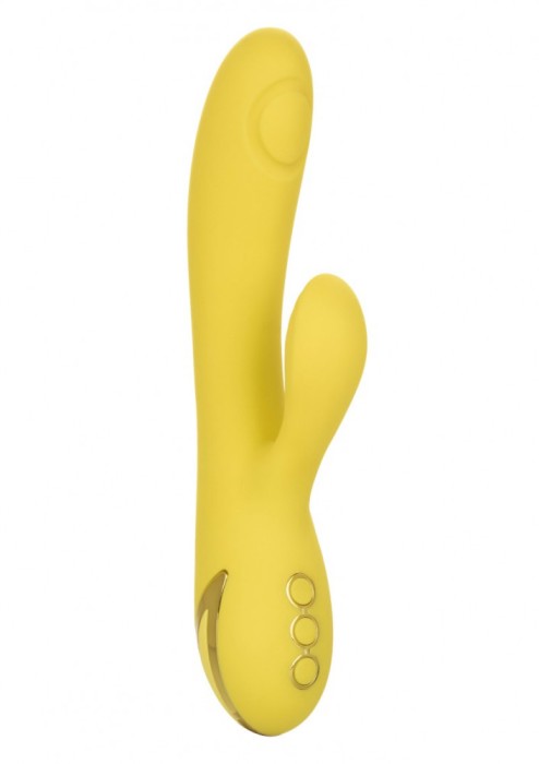 Vibrator Rabbit San Diego Seduction California Dream