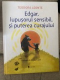Edgar, Lupusorul Sensibil si Puterea Curajului - Teodora Leonte, Carte Ilustrata 6-8 Ani, Editura Univers, Coperta Hardcover