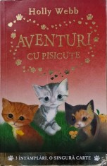 Aventuri cu pisicute &ndash; Holly Webb
