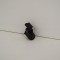 Senzor de parcare spate BMW 3 E90 2010 OEM: 6934308 2649893
