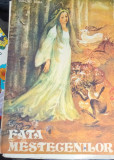 Fata Mestecenilor - Dumitru Toma, Estera Takacs (Ilustratii) - Carte Copii, Povesti, Editura Facla