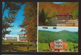CPIB 22262 - CARTE POSTALA - JUDETUL HUNEDOARA. CABANA RUSU, LUNCA FLORII, COSTE