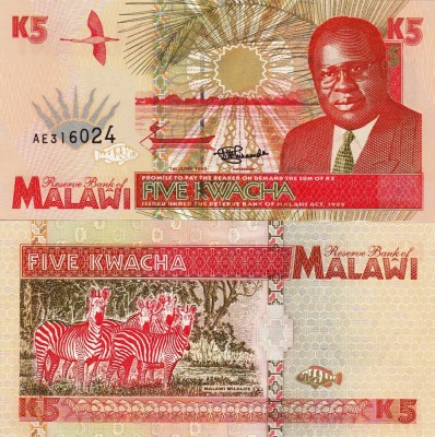 MALAWI 5 kwacha 1995 UNC!!! foto