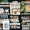 Romania 2017, AN COMPLET!!!, LP 2131-2175 a, 149 timbre + 12 blocuri, MNH!