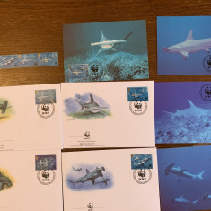 montserrat - rechini - serie 4 timbre MNH, 4 FDC, 4 maxime, fauna wwf