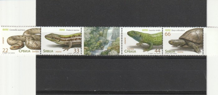 Fauna,serpi,soparle testoase,Iugoslavia.