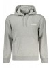 Hanorac bărbați, cu imprimeu pe spate și logo pe față, Regular fit, gri, L, 2XL