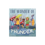 The Wonder Of Thunder: Lessons From A Thunderstorm