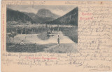 CP Salutari din Gheorghieni ND(1905), Circulata, Fotografie