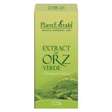 Extract Orz Verde 120ml PlantExtrakt Cod: PLAX.00066 foto