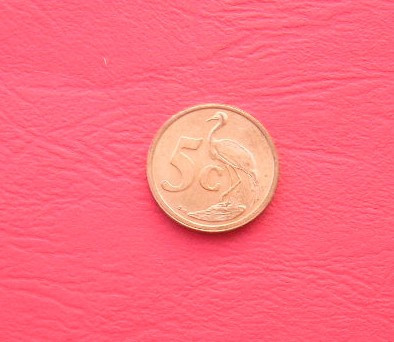M3 C50 - Moneda foarte veche - 5 centi - Africa de Sud - 2005 foto