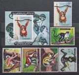 Seria Completă + Coliță Ajman 1972 - Maimuțe și Primate, Urangutan, Gibon, Cimpanzeu, 7v - Ștampilate -A242