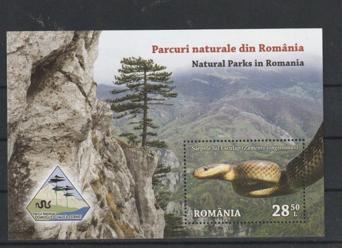 Fauna - Parcuri naturale din Rom&acirc;nia, coliță dantelată, 2018, LP 2207a, MNH