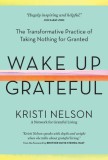 Wake Up Grateful: The Transformative Practice of Taking Nothing for Granted
