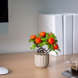 Decor plante artificiale - fructe de sud - 18 x 18 cm - 3 tipuri Best CarHome