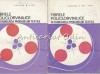 Fibre Policlorvinilice Textile I, II - I. Ionescu-Muscel, M. Udrea, I. Nicolau - 1972 - 181/260 Pagini