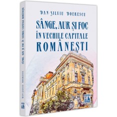 Sange, aur si foc in vechile capitale romanesti, Dan Silviu Boerescu