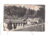 CP Anina, pana in 1918, necirculata, animata, colturi indoiate, Fotografie