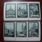 AUSTRIA VIGNETE MNH